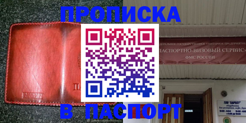 временная прописка в Кашине